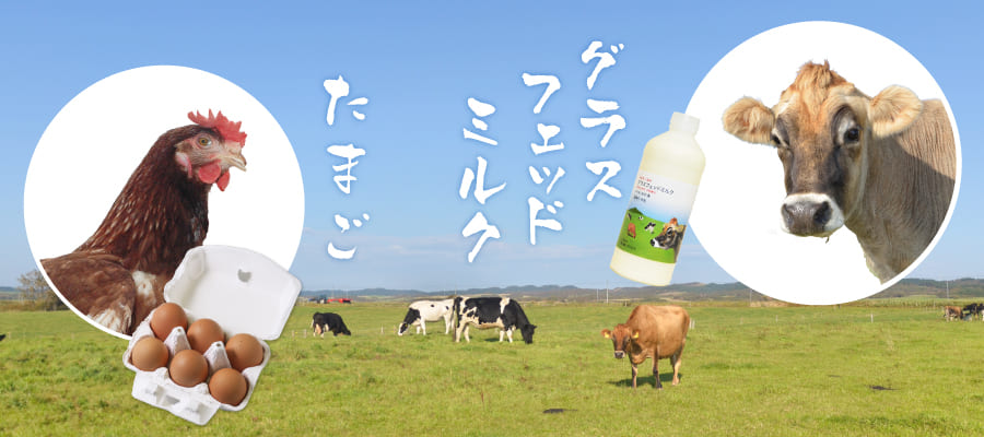 卵牛乳バナー
