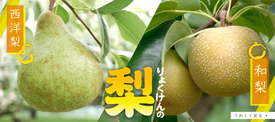 なし特集