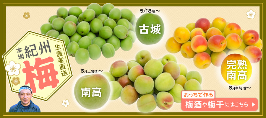 うめ特集