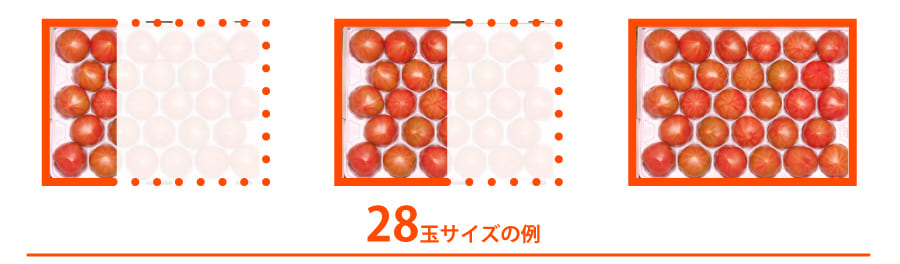 トマトの量目解説28玉