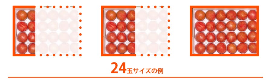 トマトの量目解説24玉