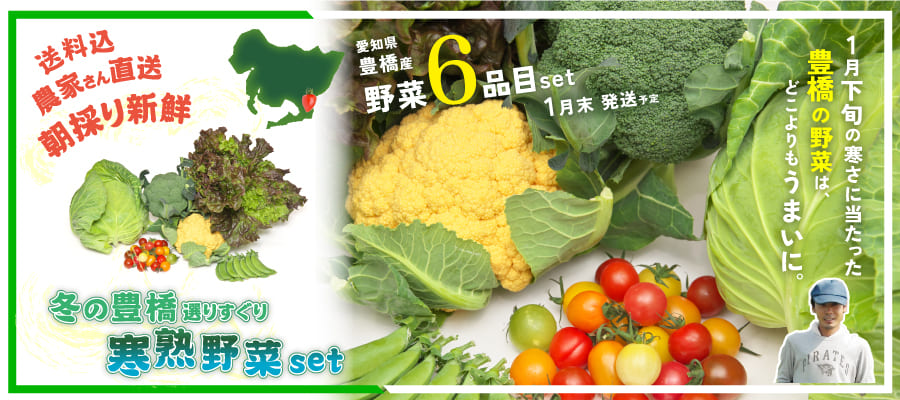 豊橋野菜セット