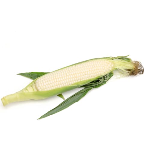 とうもろこしホワイト