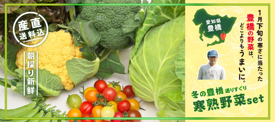 豊橋野菜セット