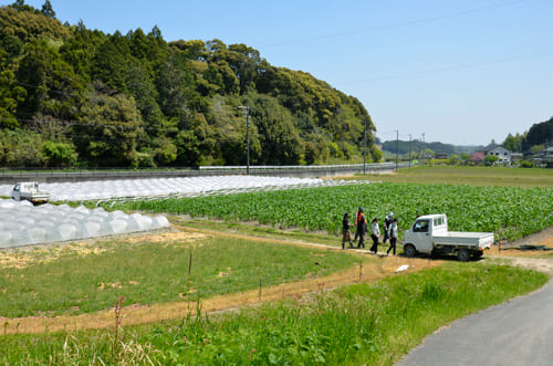 山下さんの畑