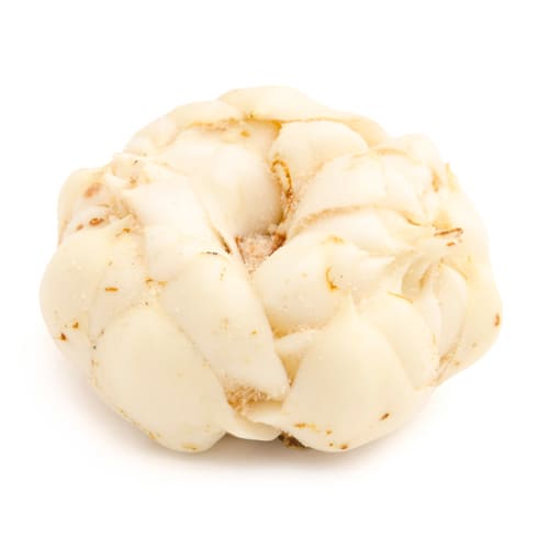 北海道産 伊達さんが育てた ゆり根 白銀