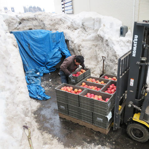 雪室ふじ